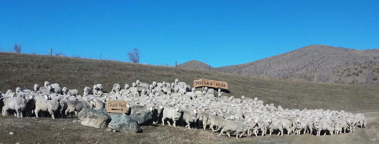Вилла Quail Rest Твайзел Экстерьер фото